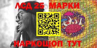 прущие грибы Моздок