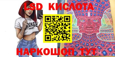 прущие грибы Моздок