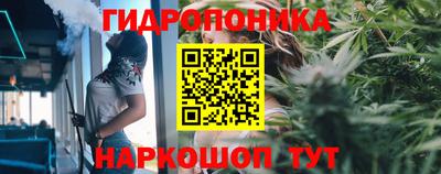винт Можга