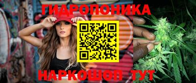 винт Можга