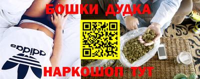 прущие грибы Моздок